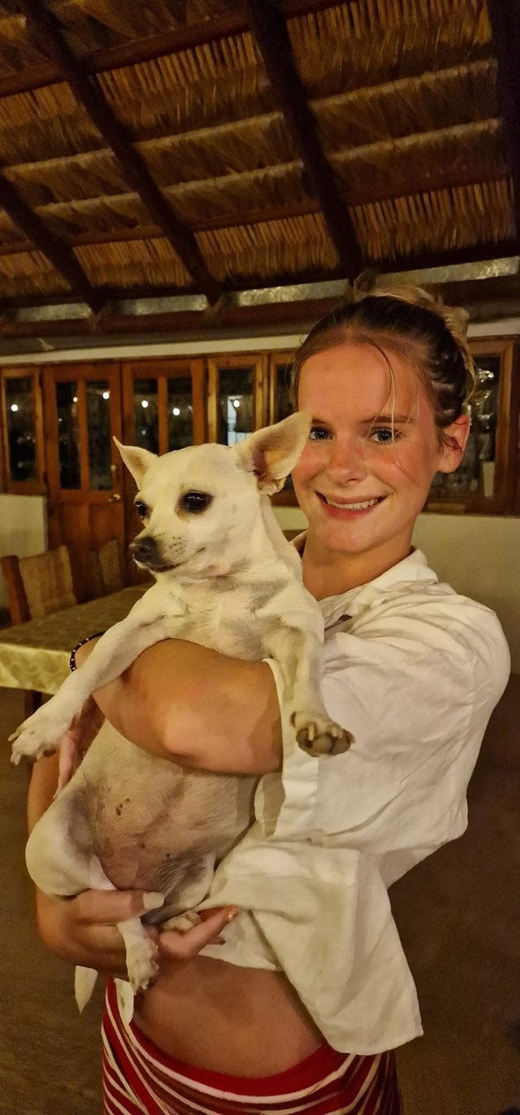 Fay from Connected Companions, Bournemouth dog walker and pet carer