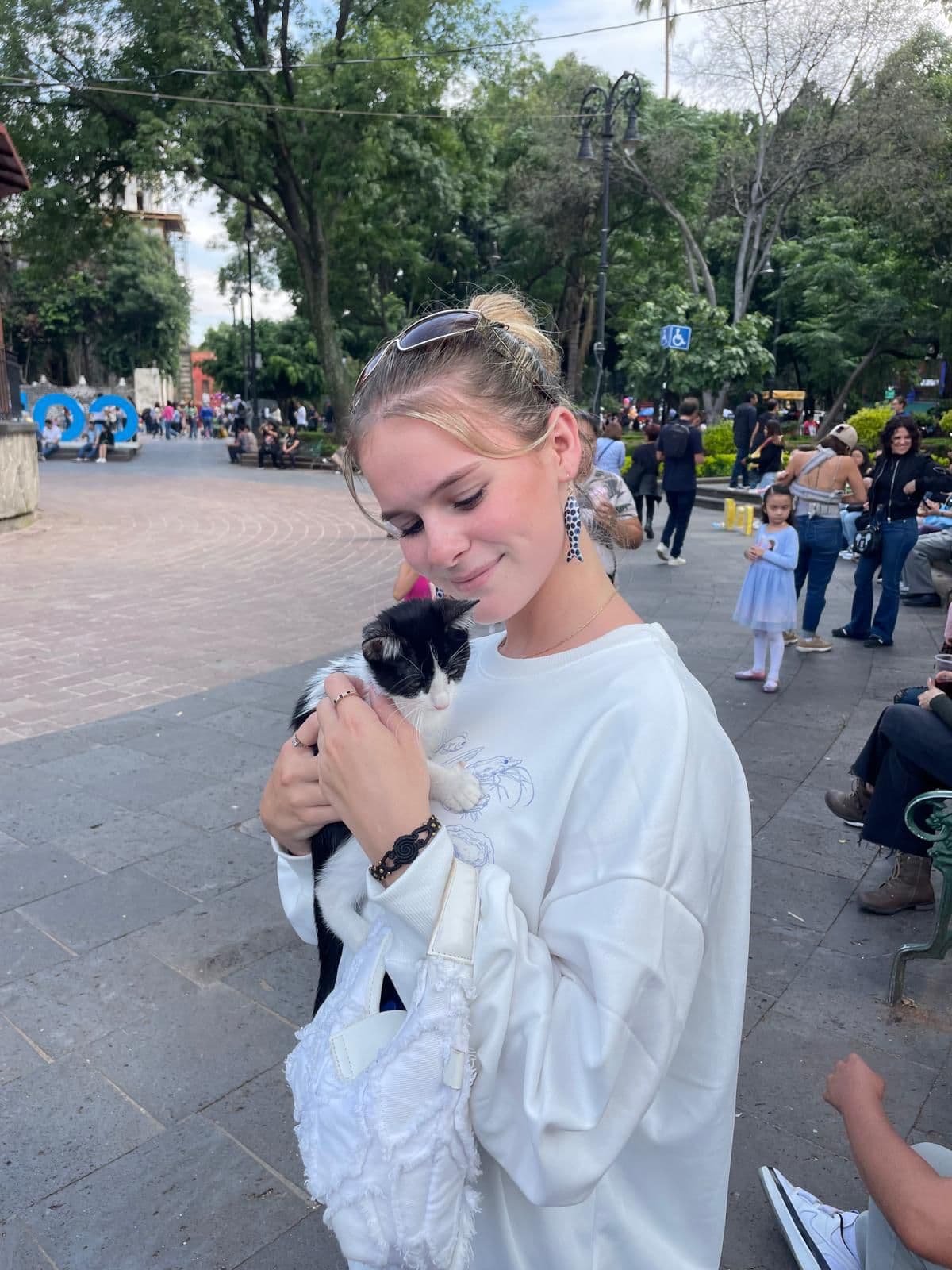 Cat care in Bournemouth - Connected Companions